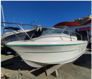 Ocqueteau Espace 485