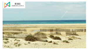 Playa Principe Fase D 3 T