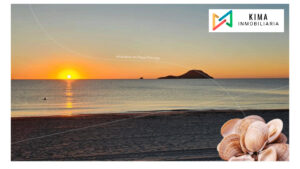 Playa Principe Fase D 3 T