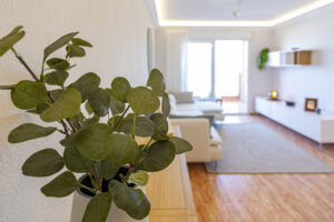 Miradores Del Puerto Fase C Tipo A 3 A