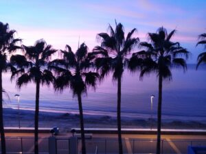 Apartamento En Primera L Nea De Playa La Playa Del Esparto