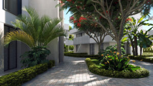 Mirador Santa Rosal A Lake