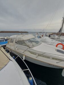 Whatsapp Image 2025 06 17 At 23 31 20 1